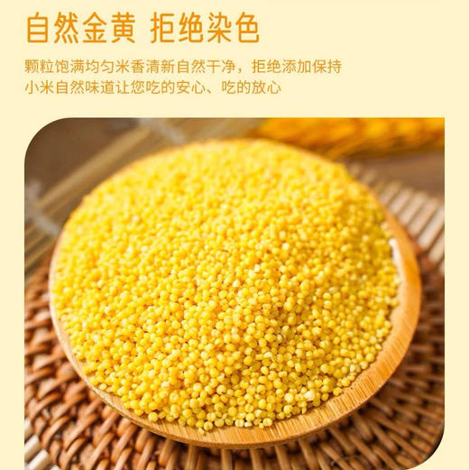 《老友专享：立减20》来自东北黑土地的有机黄小米5斤，有机认证米香浓郁，米油丰富，有粘性煮粥做饭的理想小米 商品图7