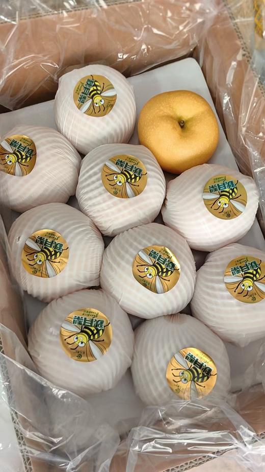 莱阳秋月梨19.8元1箱约4斤6枚装，明天到 商品图0