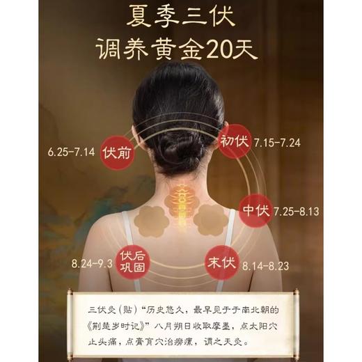 【多买多赠！】康草堂三伏贴 30贴/盒*3盒  古法配方 穴位理疗 草本养护 商品图4