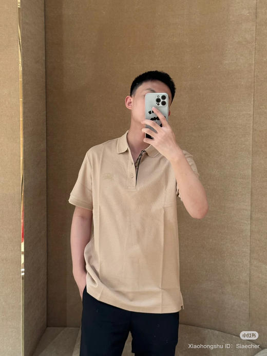 721-2 渠道圆正 BB格纹前襟 6073新色到 polo翻领 战马刺绣 男士polo短袖T恤 商品图2