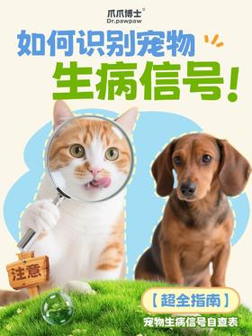 宠物主人必看！5大生病信号自查清单