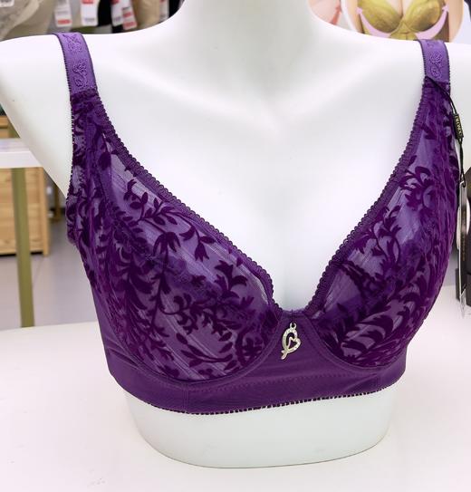 39元2件迪兰多薄款有钢圈文胸大胸显小2118533 商品图0