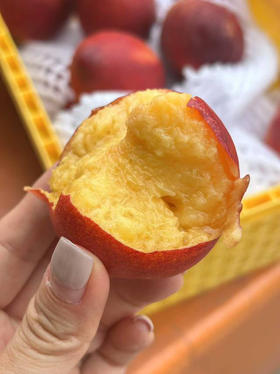 京津冀包邮到家，新疆麻点芒果油桃，有淡淡芒果香味，第一口咬破麻点斑驳的果皮时，表皮是脆的，紧接着，金灿灿的果肉猛地迸出蜜汁。这颗来自新疆戈壁的麻点芒果桃冰镇过口感更是绝3斤/箱