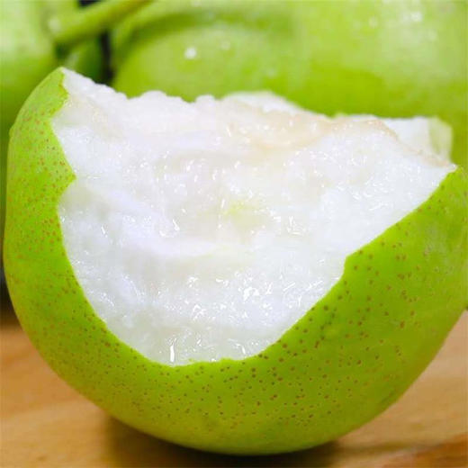 砀山青梨 清甜爽口 酥脆多汁 5斤【单果250g+】 商品图0