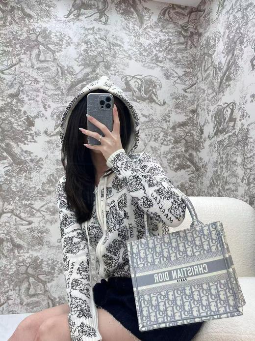 BT97-迪奥托特小号老花灰（BT*MM）7.22直播款 商品图5