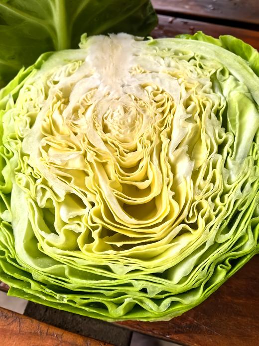 生态甘蓝 | 口感鲜嫩 | 公平贸易*Oxheart Cabbage 商品图2