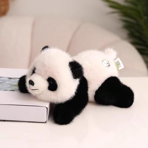 艺绒坊毛绒公仔/熊猫憨憨 商品图0