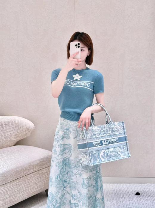 BT104-迪奥托特小号湖蓝虎（BT*MM）7.22直播款 商品图3