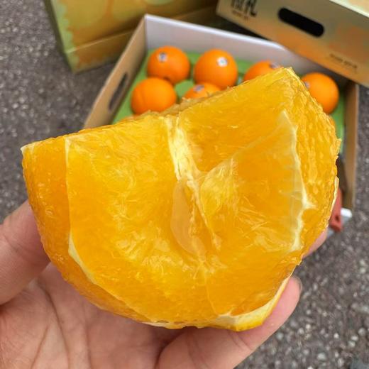 澳洲阳光澳橙 商品图1