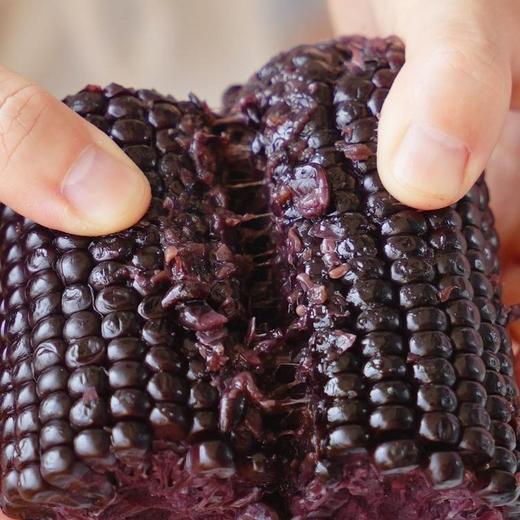 黑金时刻·Corn ultra 玉米 商品图2