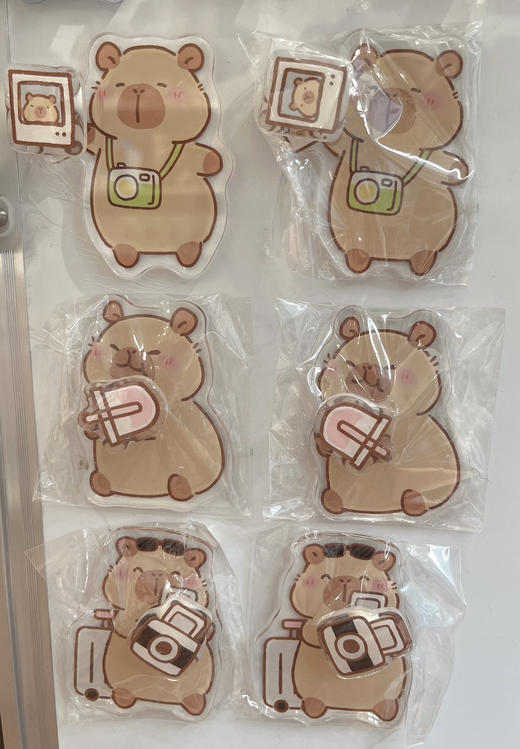 卡皮巴拉亚克力磁性贴趣味冰箱贴（款式随机） 商品图1