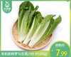 【叼鲜蔬】有机新鲜罗马生菜/1份（约250g） 商品缩略图0
