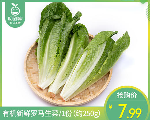 【叼鲜蔬】有机新鲜罗马生菜/1份（约250g） 商品图0