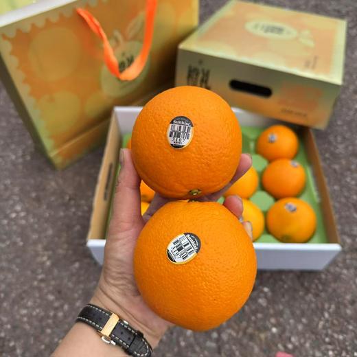 澳洲阳光澳橙 商品图5
