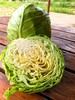 生态甘蓝 | 口感鲜嫩 | 公平贸易*Oxheart Cabbage 商品缩略图1
