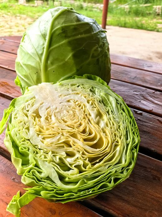 生态甘蓝 | 口感鲜嫩 | 公平贸易*Oxheart Cabbage 商品图1