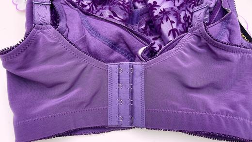 39元2件迪兰多薄款有钢圈文胸大胸显小2118533 商品图4