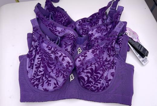 39元2件迪兰多薄款有钢圈文胸大胸显小2118533 商品图1