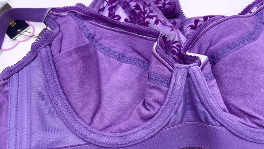 39元2件迪兰多薄款有钢圈文胸大胸显小2118533 商品图5