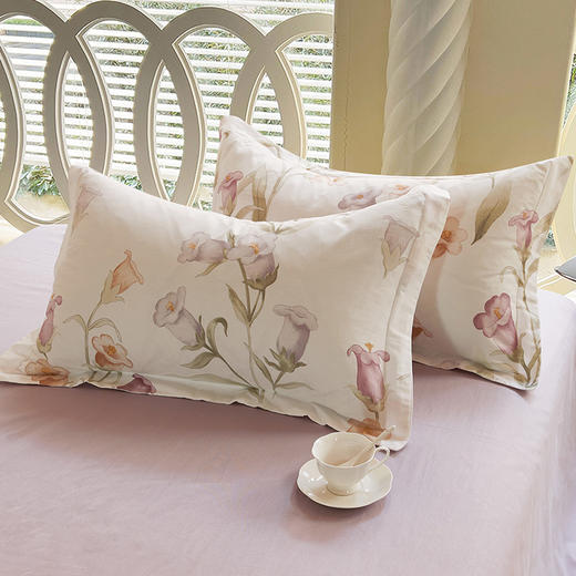 天琴 风铃梦影-铂金纯棉套件 TQ-T173 商品图2