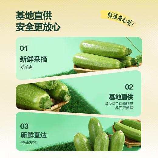 MM 山姆 翠绿西葫芦 1kg 商品图2