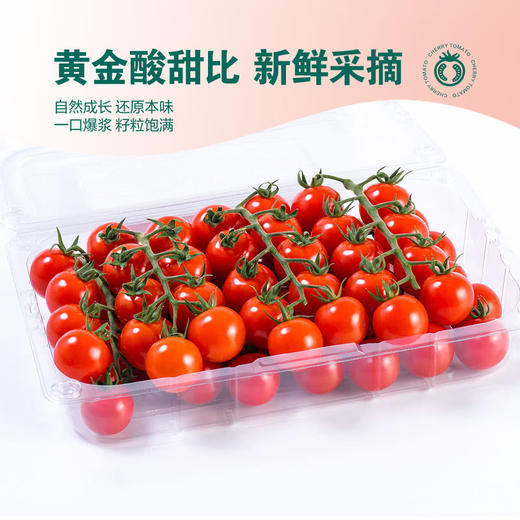 MM 山姆 串收小番茄 1kg 商品图3