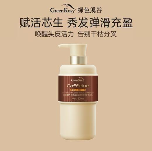 （买多省多 两件任选到手仅99元）绿色溪谷赋活弹滑修护洗发乳500ml 单瓶或组合装任选-4887 商品图0