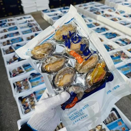 海湾散养鲍鱼800克/袋  一袋6头8头随机发 商品图0