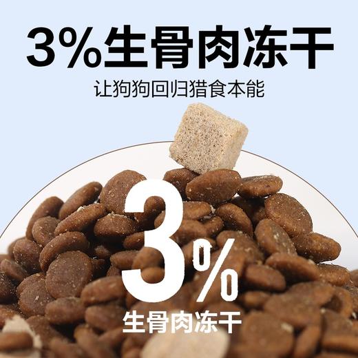 MM 山姆 伯纳天纯 原始狩猎系列全价犬粮 5.2kg 商品图4