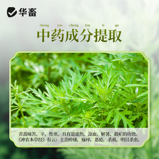 华畜青蒿末鸡球虫病凉血驱虫清热解毒 商品图2