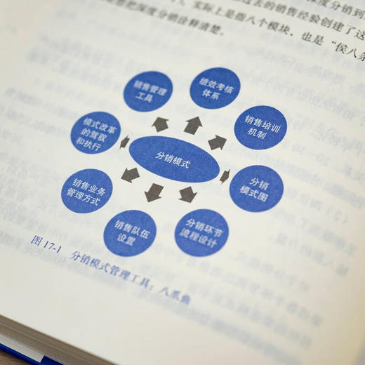 勇闯天涯 商业新世界的底层逻辑 侯孝海 著 管理 商品图4