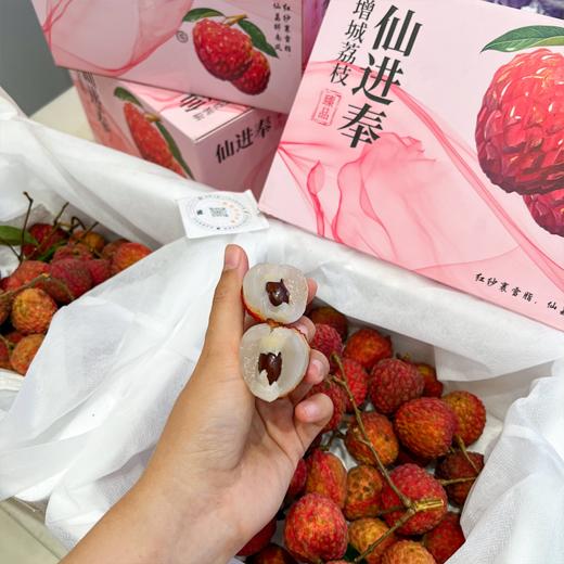 仙进奉荔枝 新鲜采摘 纯甜果肉 爆汁 商品图0