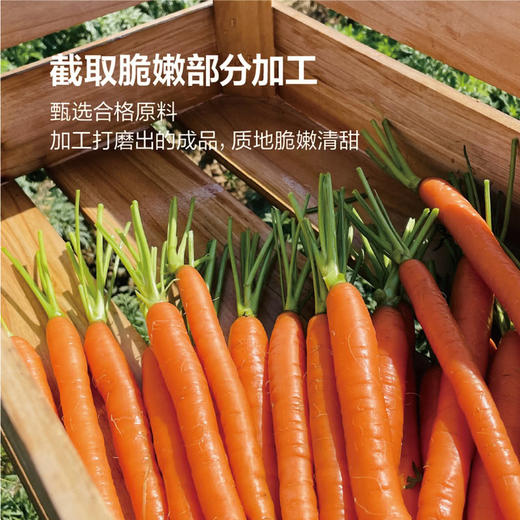 MM 山姆 迷你胡萝卜 600g 商品图3
