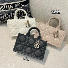 迪奥 迷你BOOKTOTE 手袋单肩包（MM）