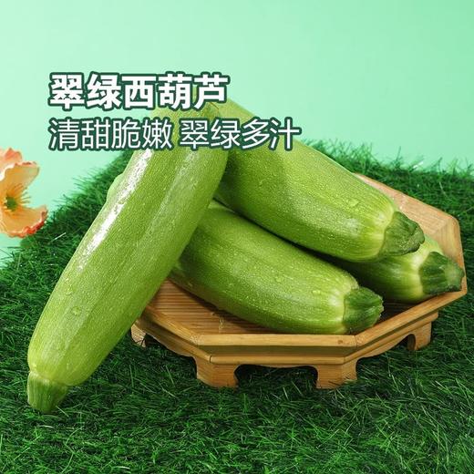 MM 山姆 翠绿西葫芦 1kg 商品图4
