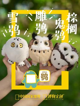 我们是鸮形目宝宝！