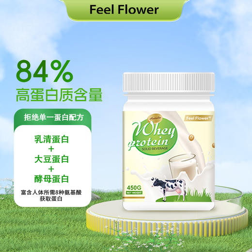 斐利德乳清蛋白固体饮料 450g 商品图0