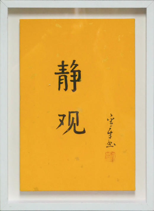 陈金章《静观》书法原作33CM*22CM 手写宣纸作品[含框] 商品图1