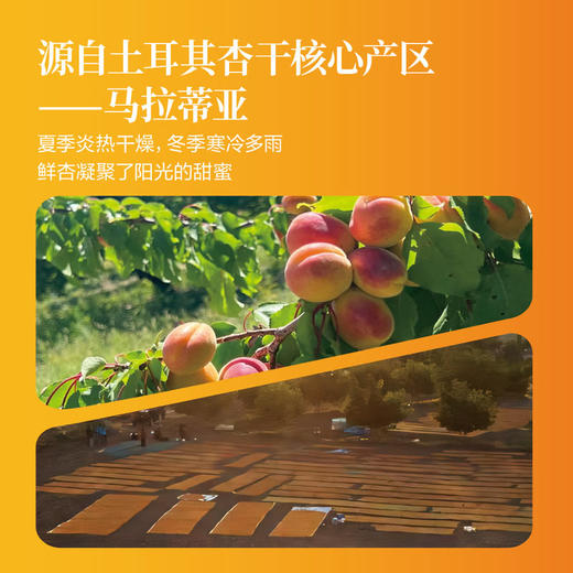 MM 山姆 土耳其杏干 450g 商品图3