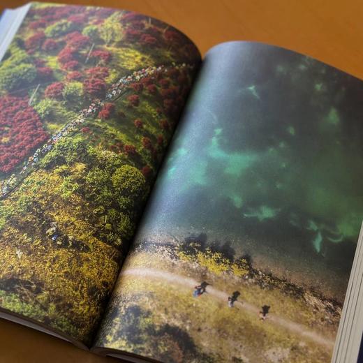 官网 越野跑 从0到100 葛海标 越野跑技巧训练装备安全赛事营养恢复 越野跑知识 越野跑技巧训练方法 运动健身书籍 商品图4