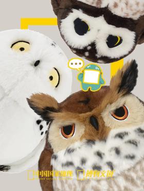 人，你醒啦？我们很担心你！