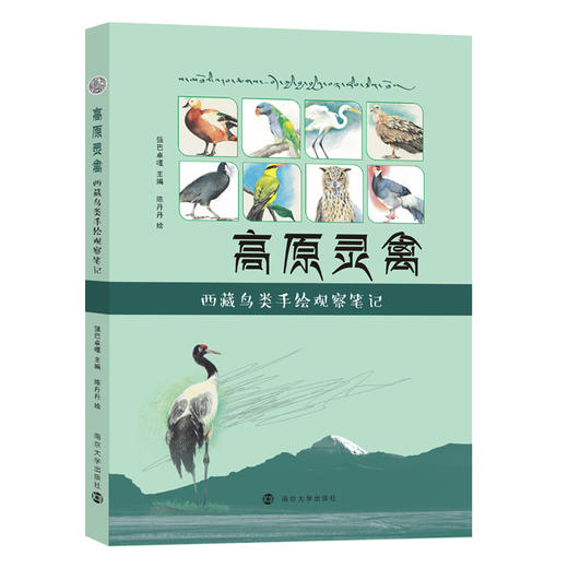 高原灵禽——西藏鸟类手绘观察笔记  强巴卓嘎 主编 商品图0