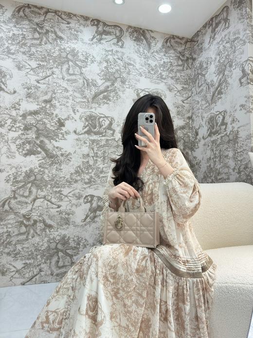 迪奥 迷你BOOKTOTE 手袋单肩包（MM） 商品图11