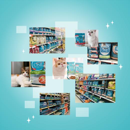 MM 山姆 ONE万牌 三文鱼配方成年期全价猫粮 4kg（2kg*2） 商品图2