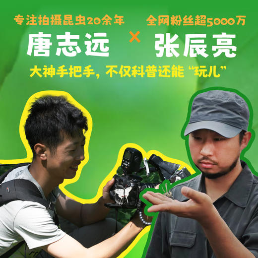 博物大发现:找找看礼盒版 无穷小亮 ，唐志远科普新作 揪出昆虫伪装者 商品图2