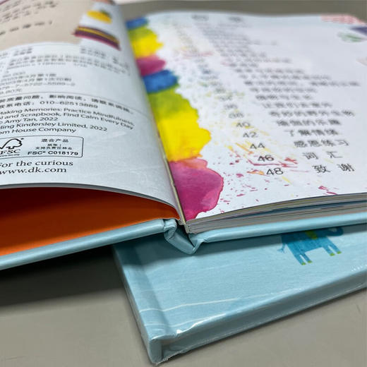 DK用正念创建和珍藏记忆 7-10岁 艾米•特金林 著 儿童文学 商品图4