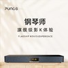 Punos/博浪沙PS-36钢琴师 旗舰版3D环绕影院家庭ktv音响套装一体机双重低音三分频 商品缩略图0