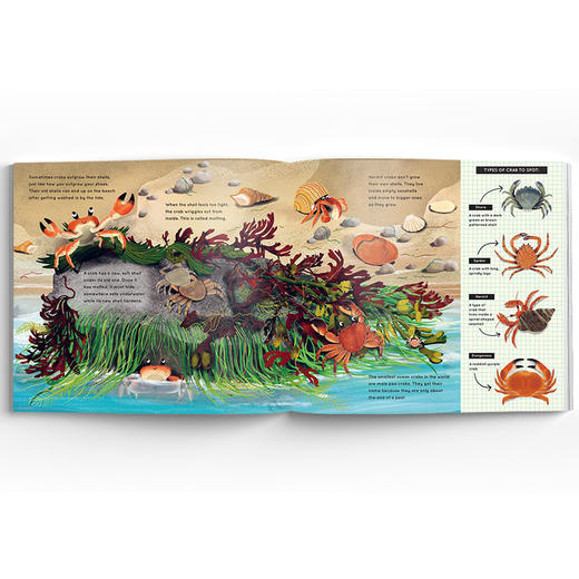 Look What I Found 看，我发现了... 商品图3