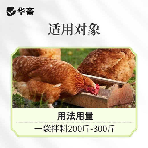 华畜青蒿末鸡球虫病凉血驱虫清热解毒 商品图4