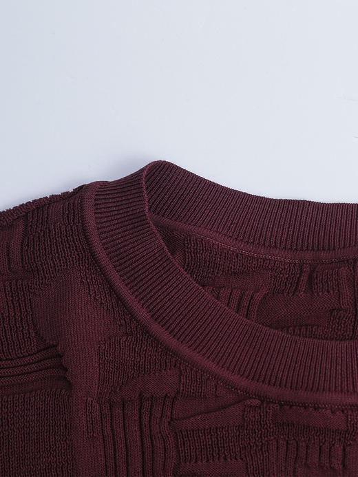 复古感拉满！酒红色提花针织衫 中袖修身 显瘦打底上衣女 商品图2